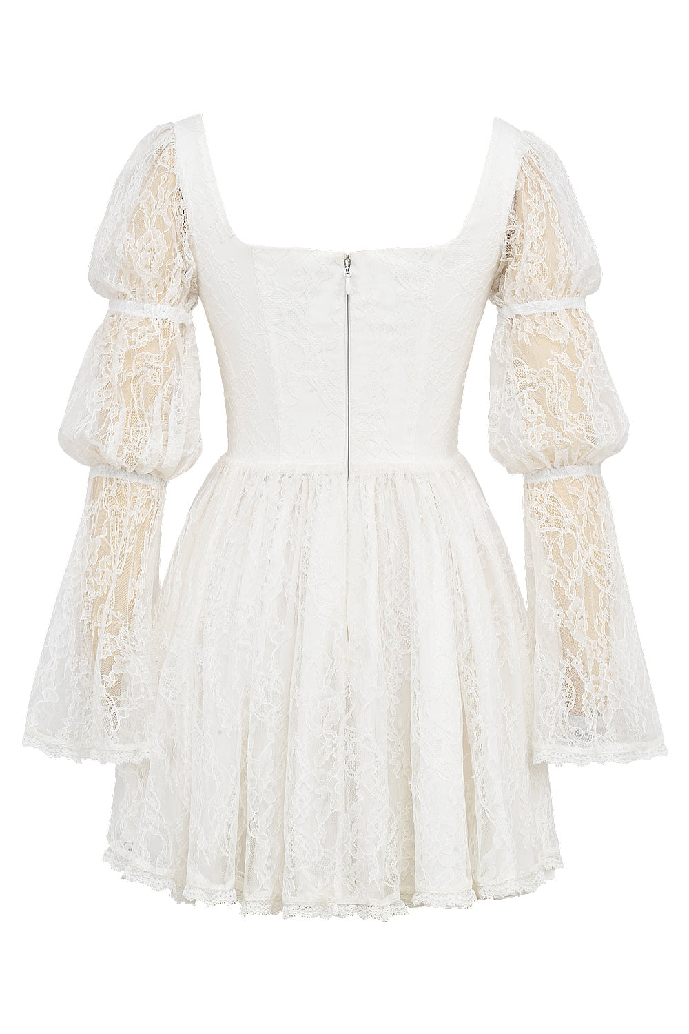 White - Elegant Lace Fitted Dress